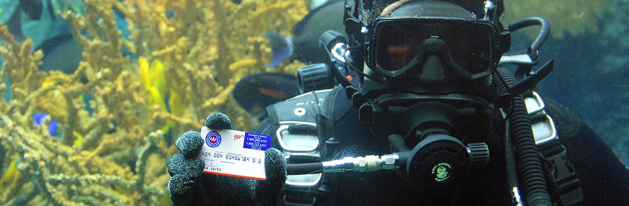 A diver in scuba equipment holding a AAA membership card in an aquarium at the Aquarium of the Pacific