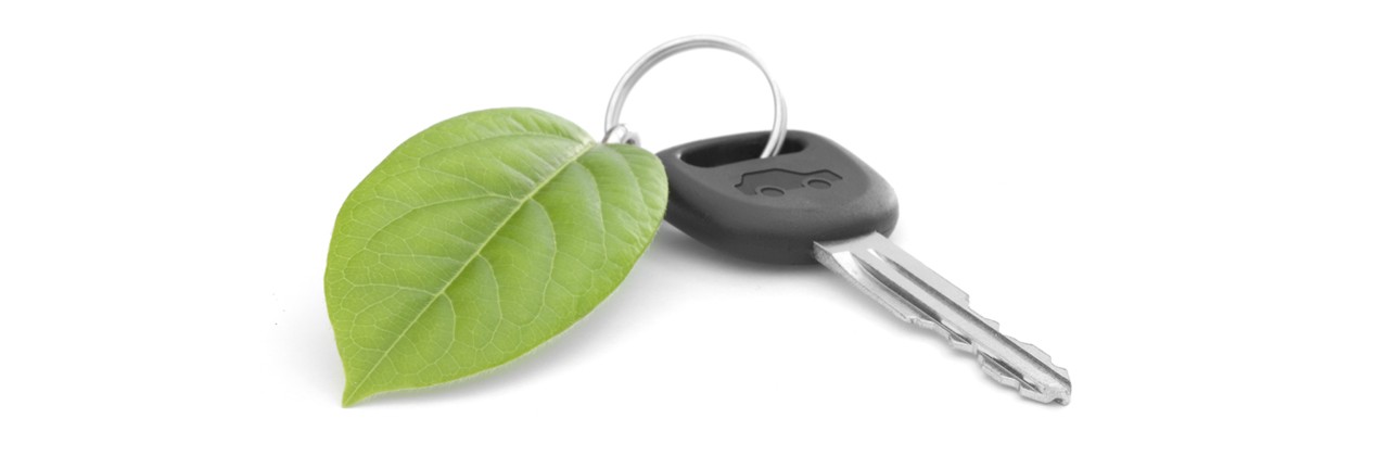 Green car leaf