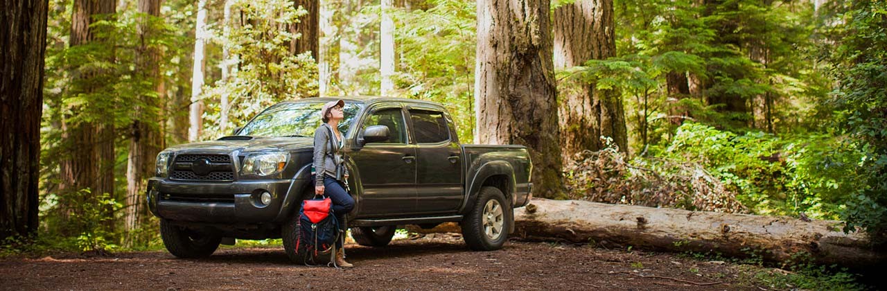 A woman in front of a pickup truck in a redwood forest