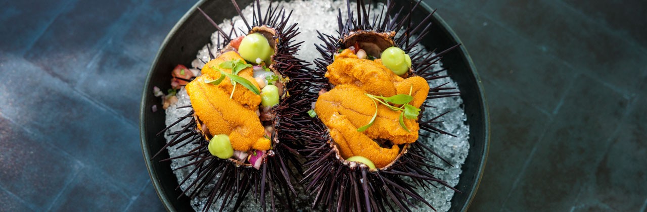 Sea urchin and scallop ceviche