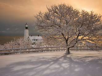 Fresh Blanket of Snow by Darylann Leonard