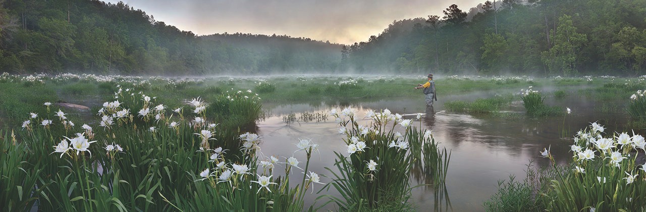 Cahaba Lilies With Fisherman