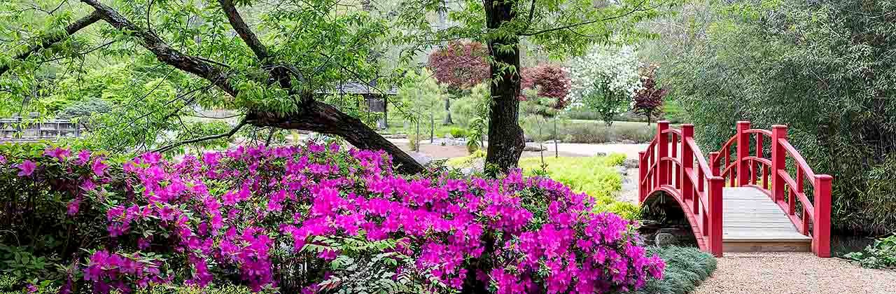 Japanese Garden at Birmingham Botanical Gardens.
