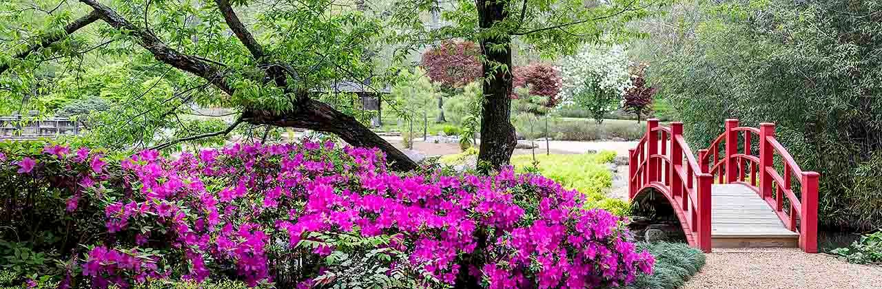 Japanese Garden at Birmingham Botanical Gardens.
