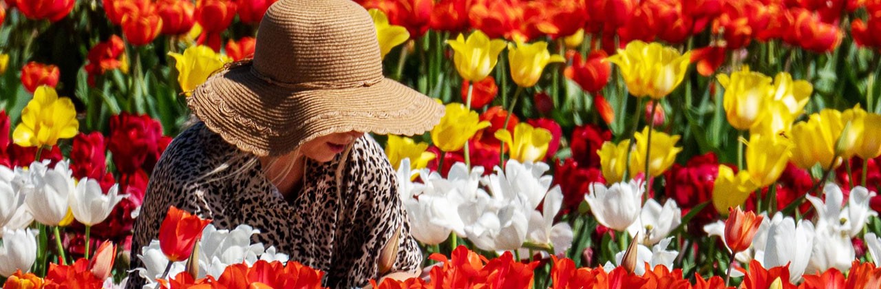 woman sitting in a field of flowers at Hubert Family Farms