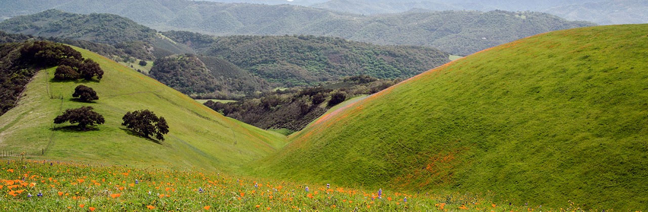 Carmel valley