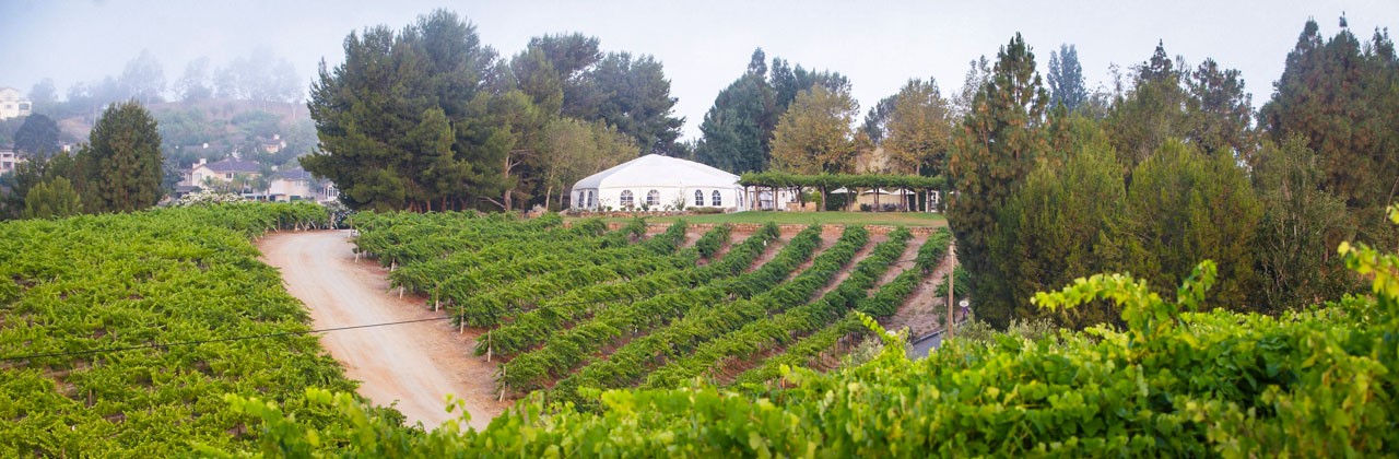 Orfila Vineyards Winery