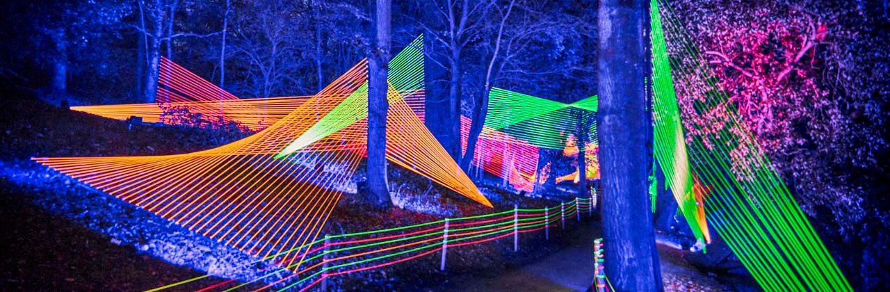 A neon light display at the Los Angeles County Arboretum