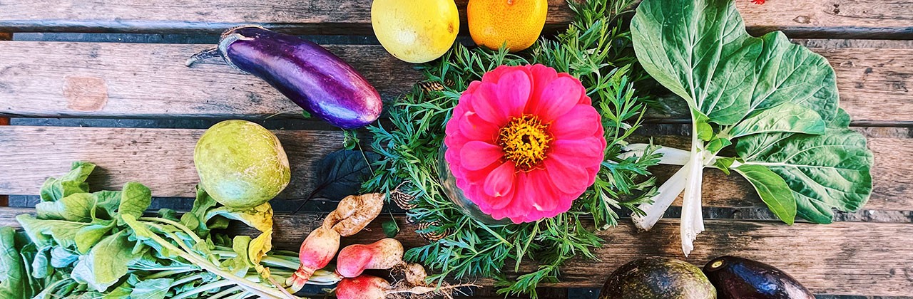 Eggplant, radish, lime, papaya, bok choy, and edible flowers are among Big Island Farms’ bountiful crops.