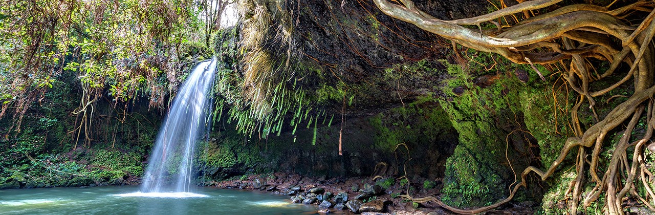 lush and green wilderness of twin falls, Maui, Hawaii. a great attraction on the road to hana where you can swim under the falls