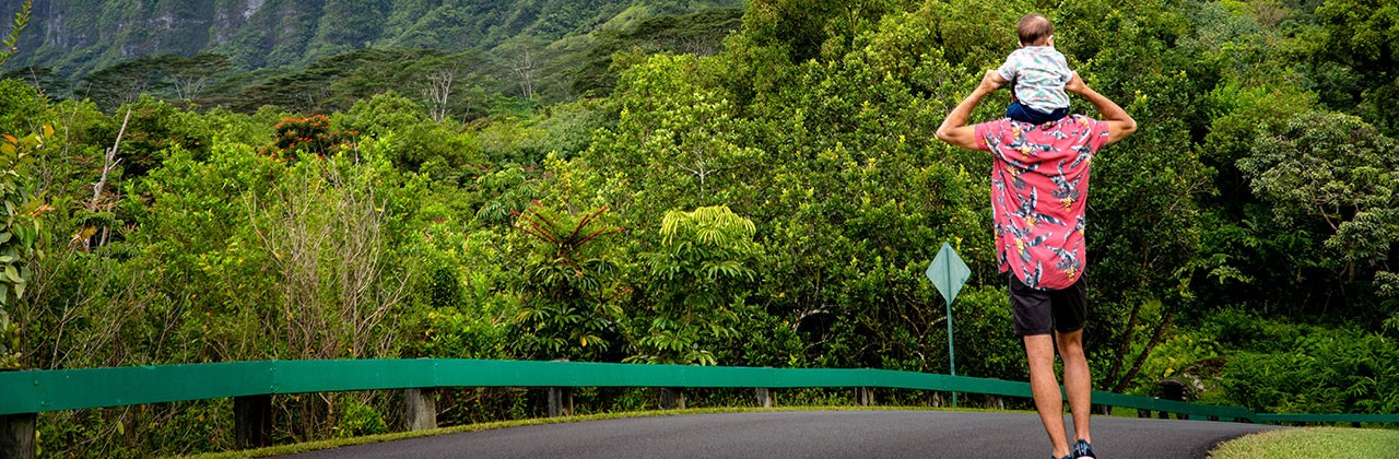 Father and Son Ho’omaluhia Botanical Garden,  Hawaii Oahu 