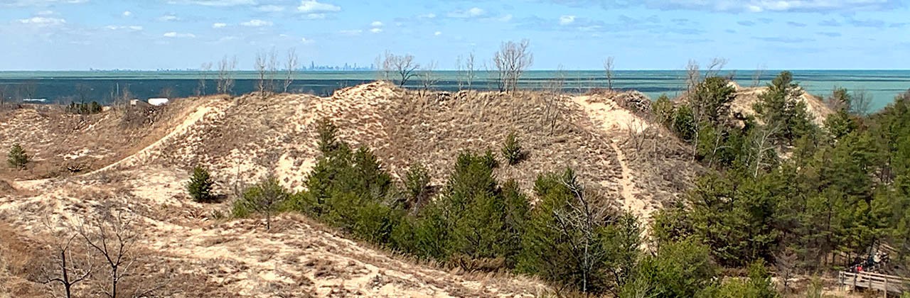 View of Chicago skyline seen from Diana of the Dunes' Dare, Indiana Dunes National Park