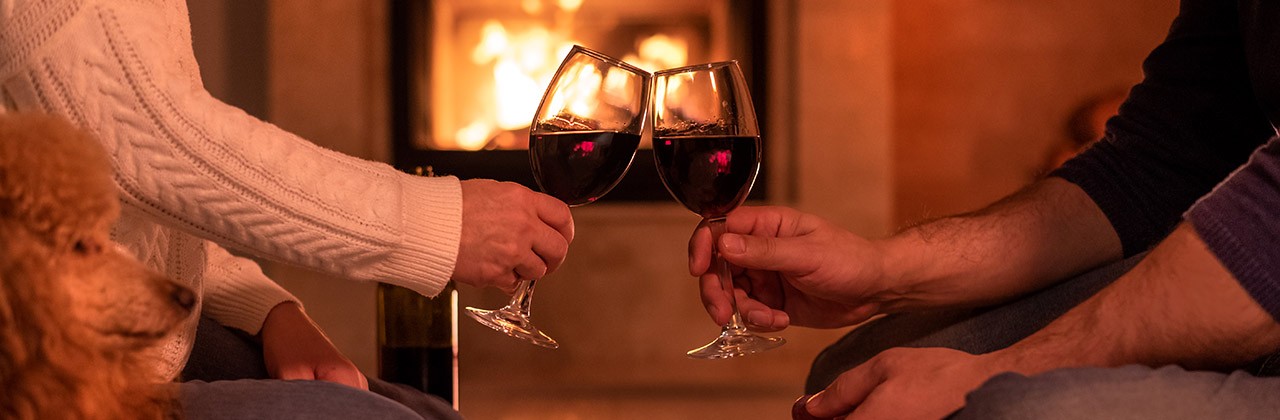 Couple enjoys wine and snack in front of a fireplace as a dog watches on the side. 