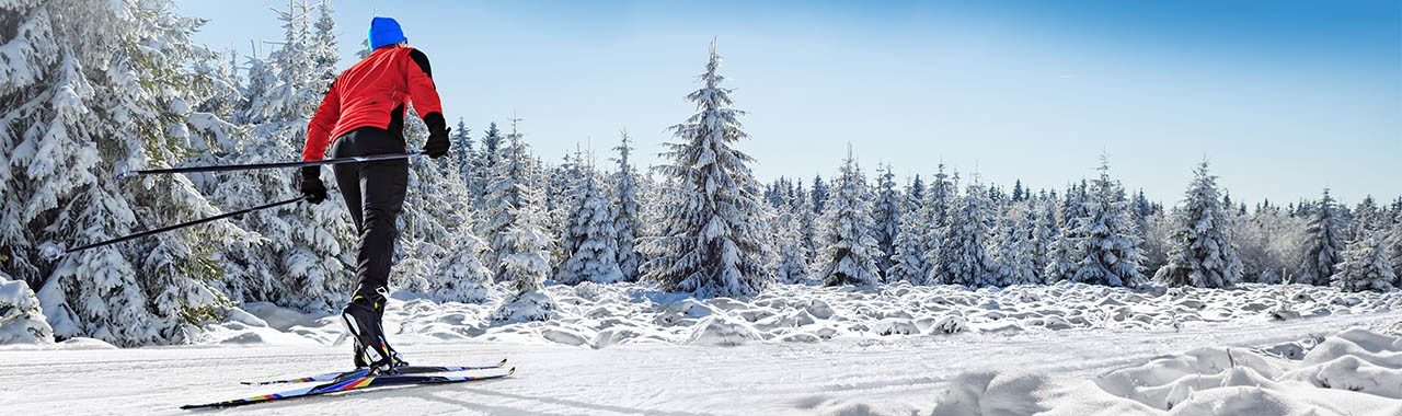 A man cross-country skiing on the trail in wintry forest