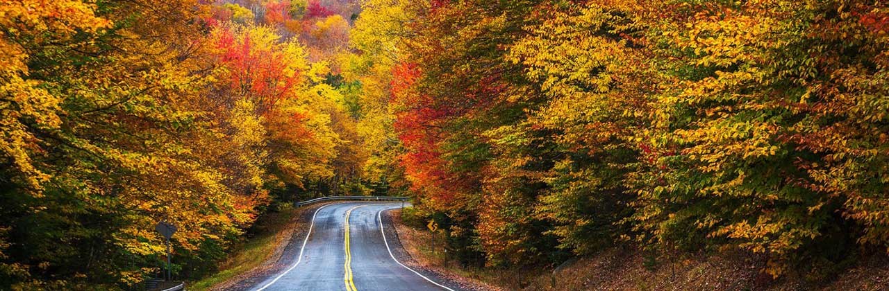 A two lane road, engulfed by colorful autumn foliage, curves and disappears in the forest of the White Mountains of New Hampshire in New England, USA.