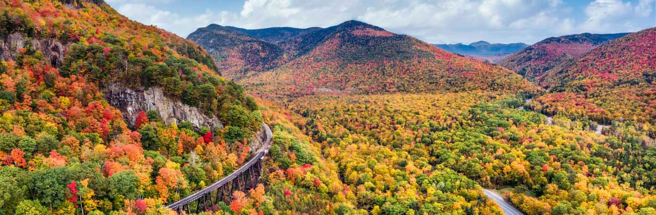 Autumn foliage at Frankenstein Cliff  on Crawford Notch Road in the White Mountain national Forest - New Hampshire