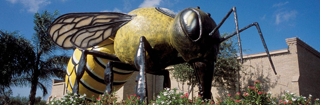 Killer bee statue, 20 ft long 10 ft high, in front of city library in Hidalgo, Texas USA.