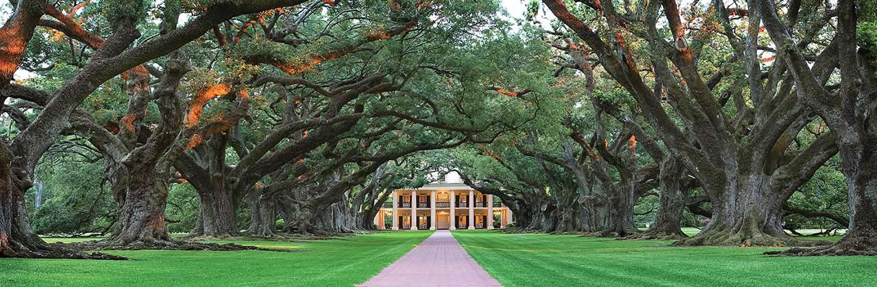 Oak Alley Plantation in Vacherie, Louisiana, has been a backdrop for a number of movies, including "Interview with the Vampire." | Photo courtesy Oak Alley Foundation