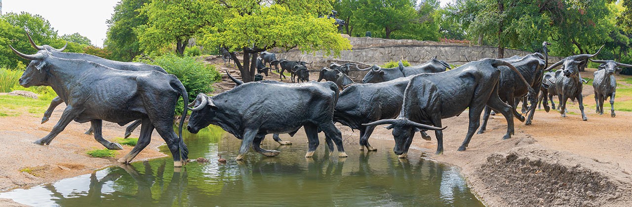 Longhorn steer statues at Pioneer Plaza.