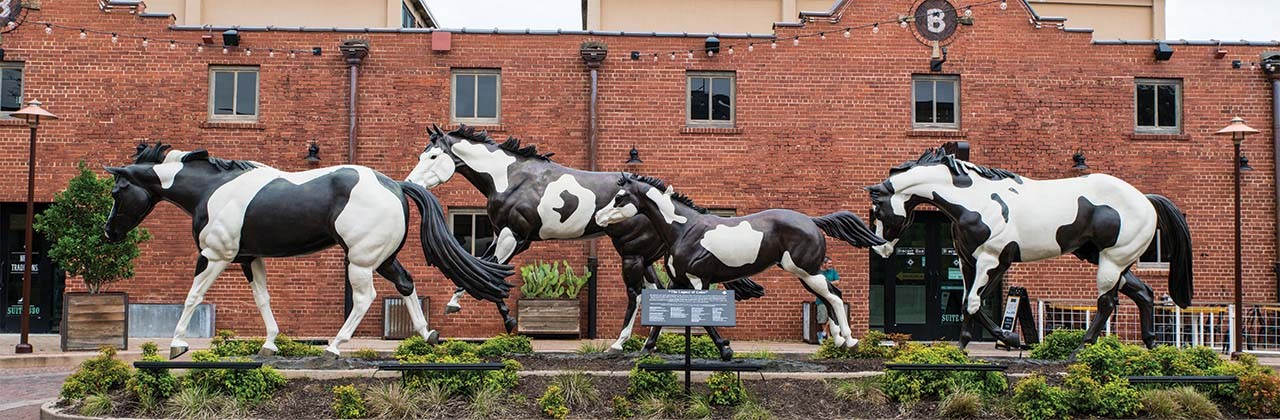 PH Barn Door is the official headquarters of the American Paint Horse Association.
