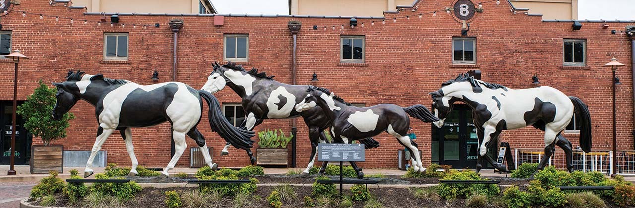 PH Barn Door is the official headquarters of the American Paint Horse Association.