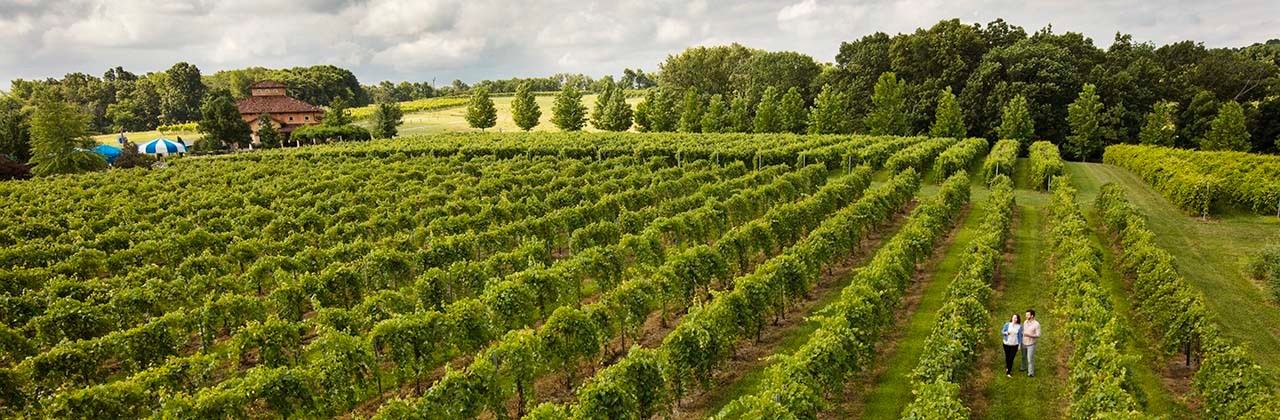 Visitors sample wine as they stroll through Blue Sky Vineyard on the Shawnee Hills Wine Trail in southern Illinois. | Photo courtesy Illinois Office of Tourism