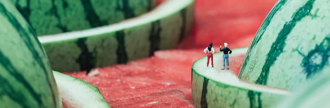 Model figures in watermelon