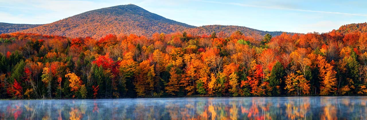 Autumn foliage on trees in Killington, Vermont
