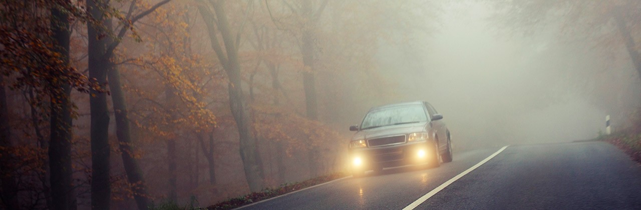 A car driving through autumn trees with fog in the headlights