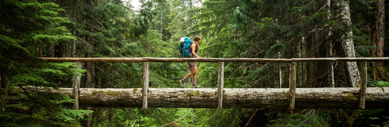 451932111-olympic-national-park-washington-camping-hiking-woman