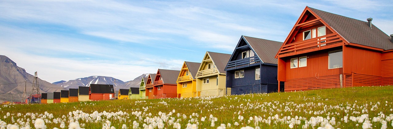 Colorful houses in front of a field of flowers in Longyearbyen, Svalbard, Norway