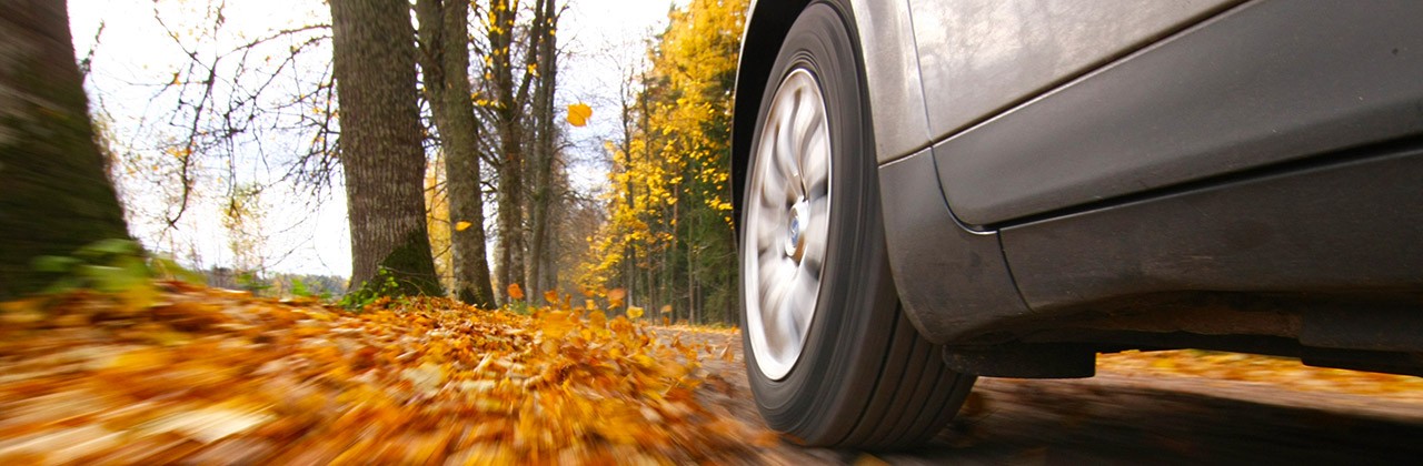 A car driving through orange autumn foliage