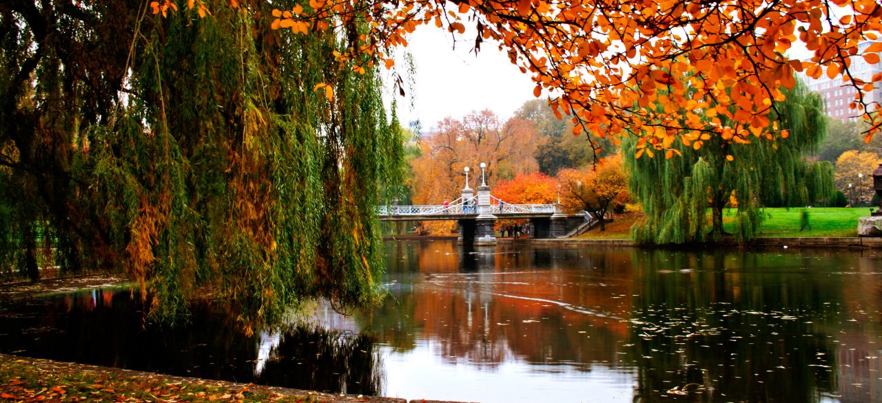 Boston Commons