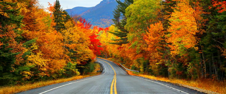 Autumn in the White Mountains Autumn in the White Mountains