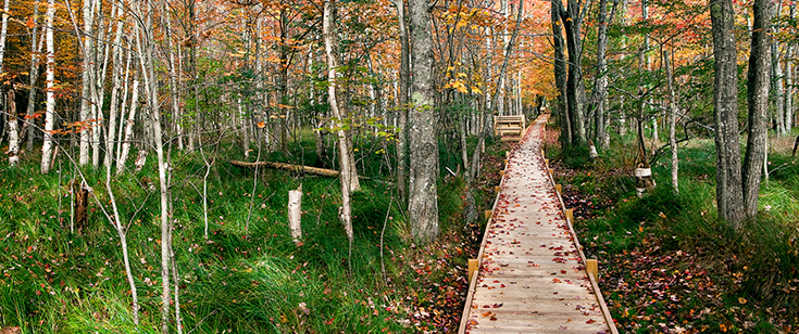 Acadia National Park, Maine Acadia National Park, Maine