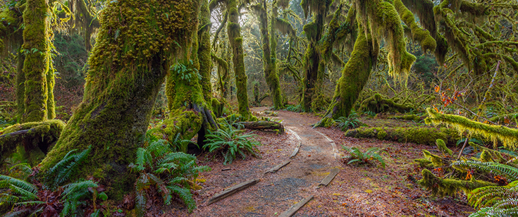 Olympic National Park, Washington Olympic National Park, Washington