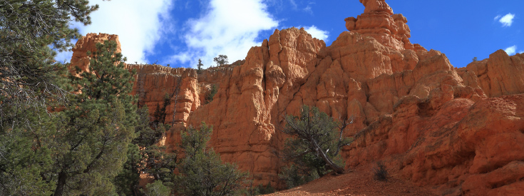 Zion National Park Zion National Park