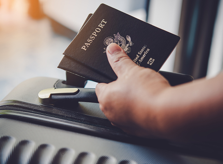 Hand holding passport and luggage