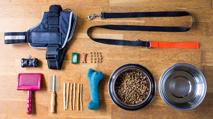 Pet supplies such as dog food, a leash, bowls, a harness, and a brush