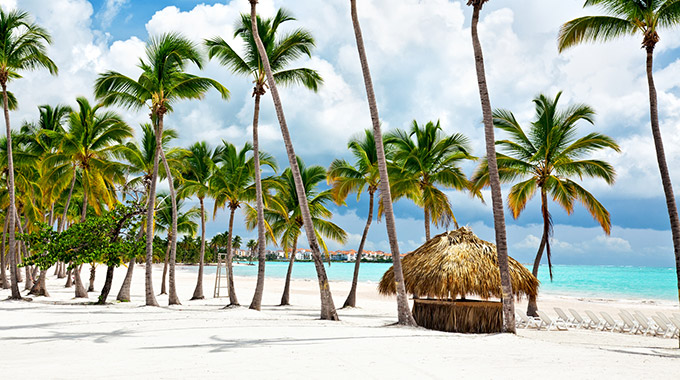 A white sand beach with palm trees in the Dominican Republic