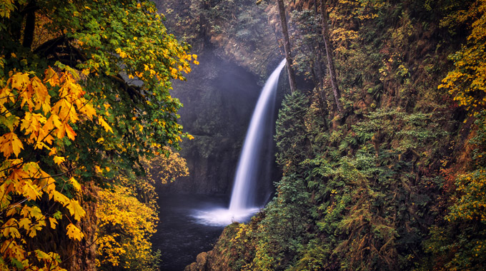 Columbia River Gorge waterfall as seen through fall leaves