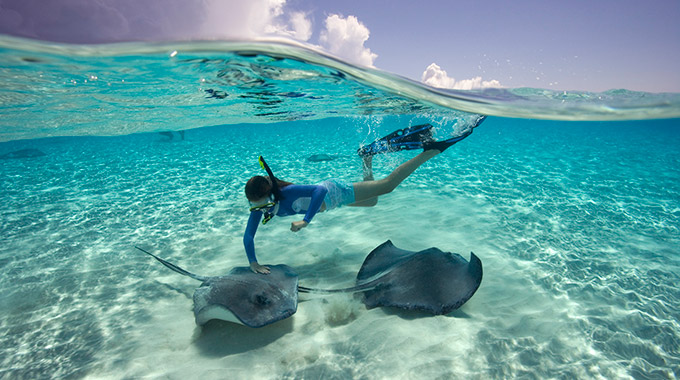 A snorkeler swims with stingrays.