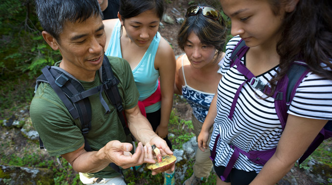 Tour guide leading group