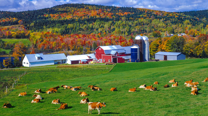 The Green Mountains in Vermont