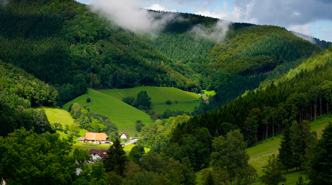 Cottages in the Black Forest