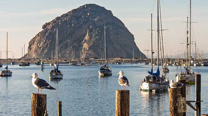 Morro Rock with seagulls and boats in the foreground