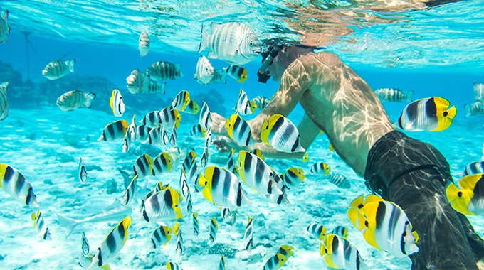 Snorkeling with tropical fish