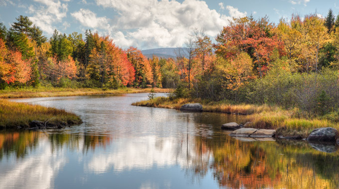 Autumn foliage at Bar Harbor, Maine