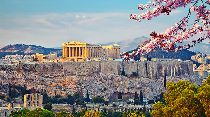 The Acropolis in Athens with a flowering tree in the foreground