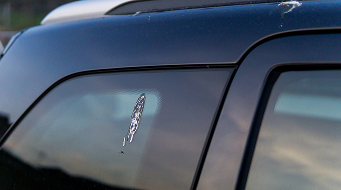 Bird poop on car